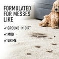 thumbnail image 3 of solution nettoyante Prime Professional de HOOVER® UDC, 3 of 10