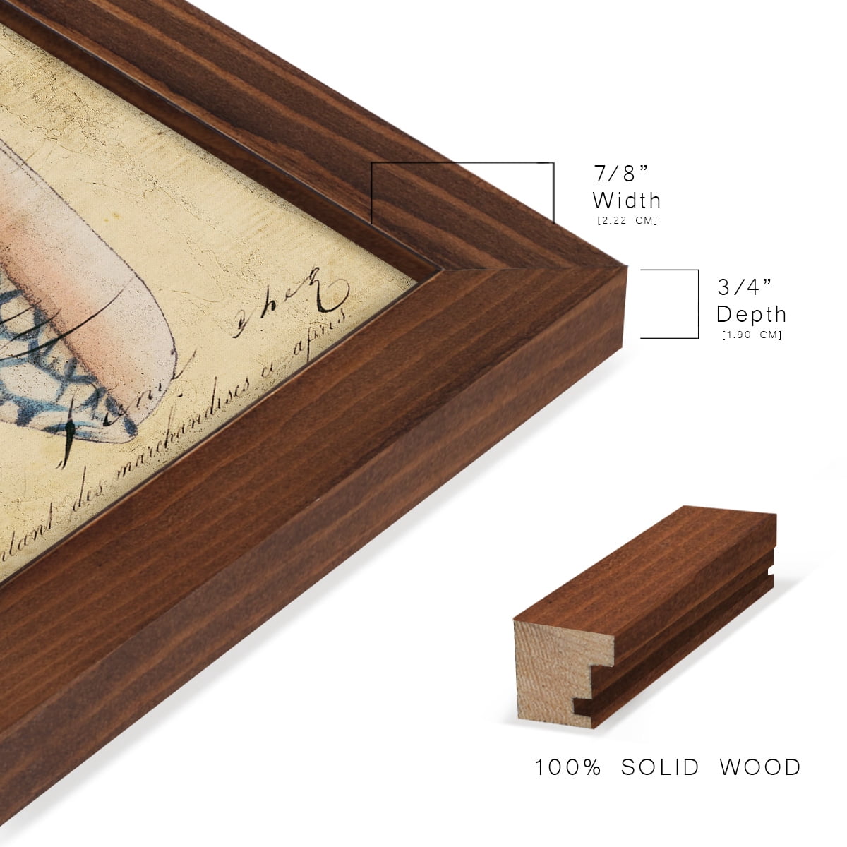 Seashell Ephemera IV - Framed Print w/glass - Chestnut