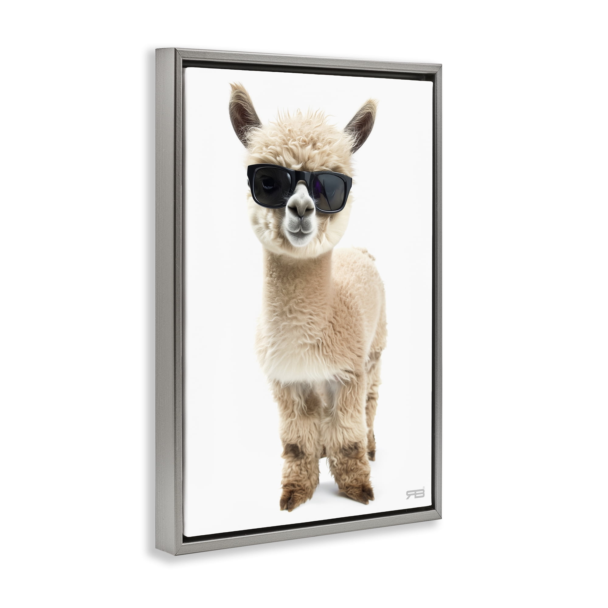 Stupell Industries Cool Alpaca & Glasses Animals & Insects Painting Gray Floater Framed Art Print Wall Art, 21 x 31