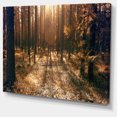 thumbnail image 2 of Dark First Snow Forest Photo - Modern Forest Canvas Art, 2 of 4
