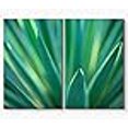 thumbnail image 3 of SIGNLEADER Canvas Print Wall Art Set Closeup Tips of Green Snake Plant Nature Wilderness Photography Modern Art Rustic Relax/Calm Multicolor for Living Room, Bedroom, Office - 24"x36" x 2 Panels, 3 of 4