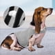thumbnail image 5 of Ropa para aliviar el estrés del perro, ropa antiansiedad para perros y mascotas, ropa antiestrés para perros, ropa antiansiedad para perros, verdadera excelencia, 5 of 8
