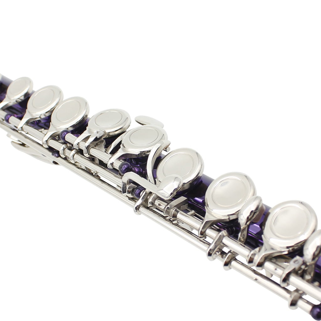 Closed Hole C Flute 16 Keys Flutes Professional Horizontal Flute With Bag Cloth Stick Woodwind Instrument