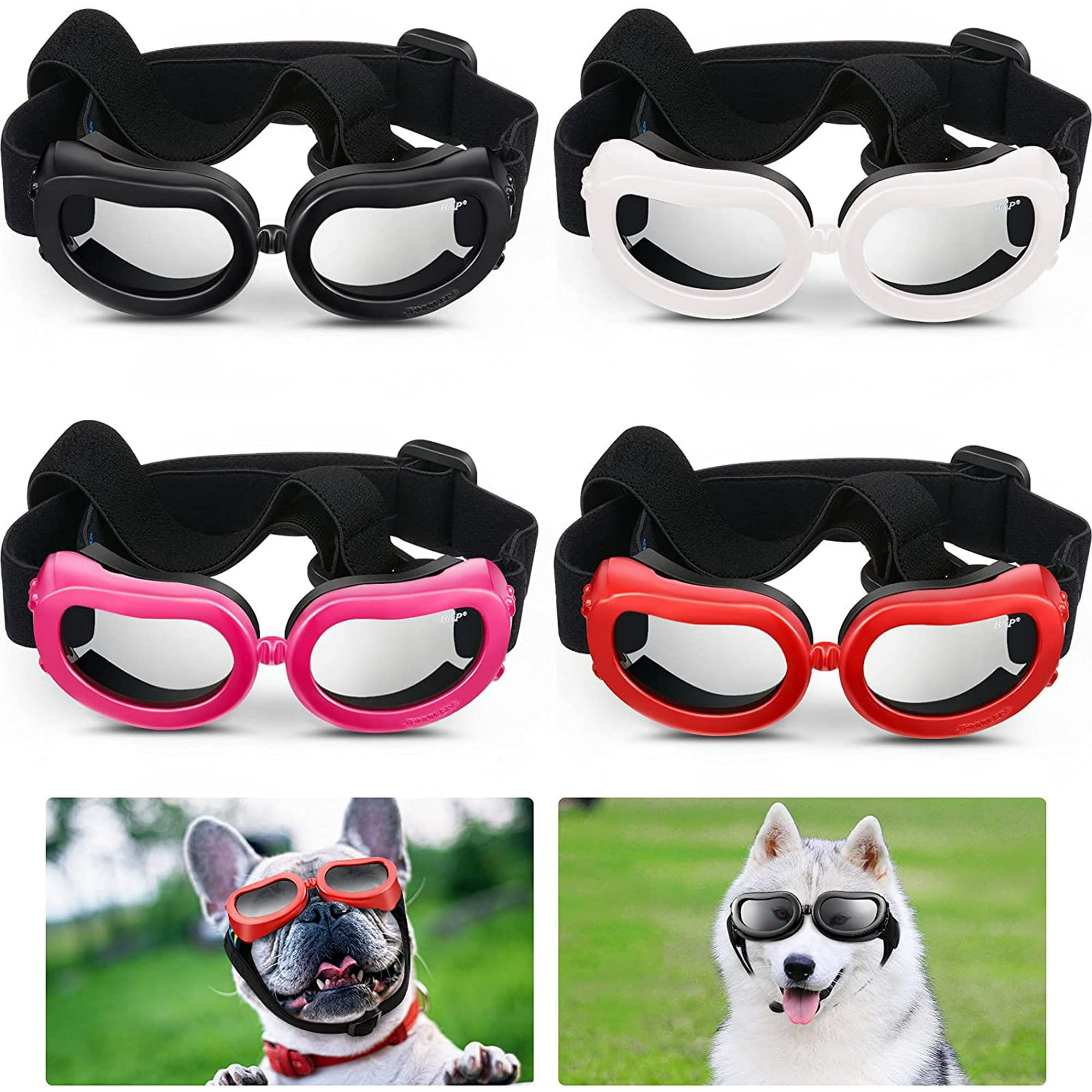 Do White Dogs Need Sun Protection