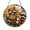 Acrylic 3.5 Inch, variant on Cozy Autumn Raccoon Squirrel Acrylic Window Hanging, Faux Stained Glass Style Decorative Woodland Art Panel