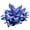 Icy Purple, variant on Midnight Blue Hostas For Planting Cultivation-(Non-Artificial)- Quick Sprouting Ornaments Surprise to Grow Garden Decoratio & Easy to Grow