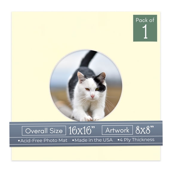 Off White Picture Frame Mat for 16x16 Frames - Circle Opening for 8x8 Photos - 1 Mat