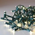 thumbnail image 2 of LumaBase Electric LED Mini String Lights with 70 (Red/Green), 2 of 7