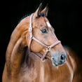 thumbnail image 2 of Horze Warren Soft Leather Halter, 2 of 3