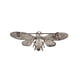 thumbnail image 3 of Fly Insecto Rhinestone Suéter Broche De Moda Romántico Romántico Rust-Proyector Protección Bufanda Pines Broches Para Mujer Joyería Regalo Eigraketly AP004735-00, 3 of 7