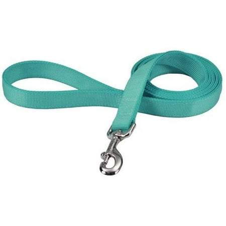 Coastal Pet 2906TEL 72 x 1 in. Double-ply Nylon Dog Lead Teal