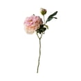 thumbnail image 2 of Tallo de peonía artificial | Arreglo floral de peonía de seda sintética | Centro de mesa para bodas y decoración del hogar | Flores artificiales realistas para jarrón, 2 of 6