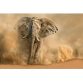 thumbnail image 2 of Egger, Marcel 14x11 Black Ornate Wood Framed with Double Matting Museum Art Print Titled - Desertstorm, 2 of 4