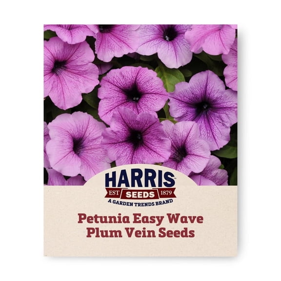 Harris Seeds Easy Wave Plum Vein F1 Petunia, Veined Purple Flower Variety for Hanging Baskets and Containers, 25 Count