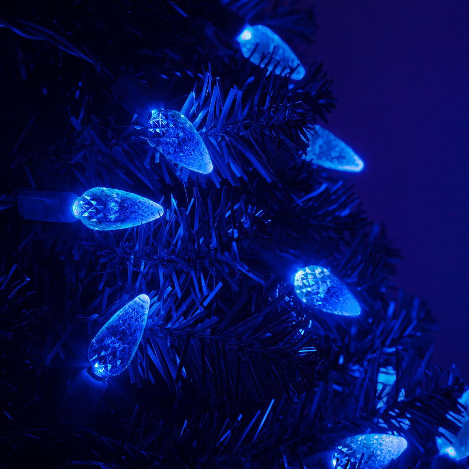 Wintergreen Lighting C6 Blue Christmas Lights LED String Lights, Set of 70 Lights on Green Wire, 24 Ft - Indoor/Outdoor Lighting
