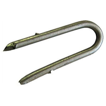 Dare Products Galvanized Barbed Staples Type III 9 Gauge - 50 Piece, 2 In, Silver