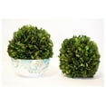 thumbnail image 3 of Drevy Preserved Boxwood 6" s, 3 of 4