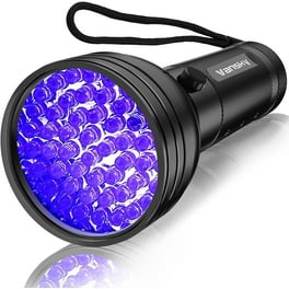 How to Detect Cat Urine With a Black Light: Easy & Effective Tips