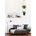 thumbnail image 5 of Modern Metal Hanging Planter for Indoor Outdoor Plants with Hook 2 Tier Boho Wall and Ceiling Flower Pots Baskets Holder Home Office Decor(Black), 5 of 6