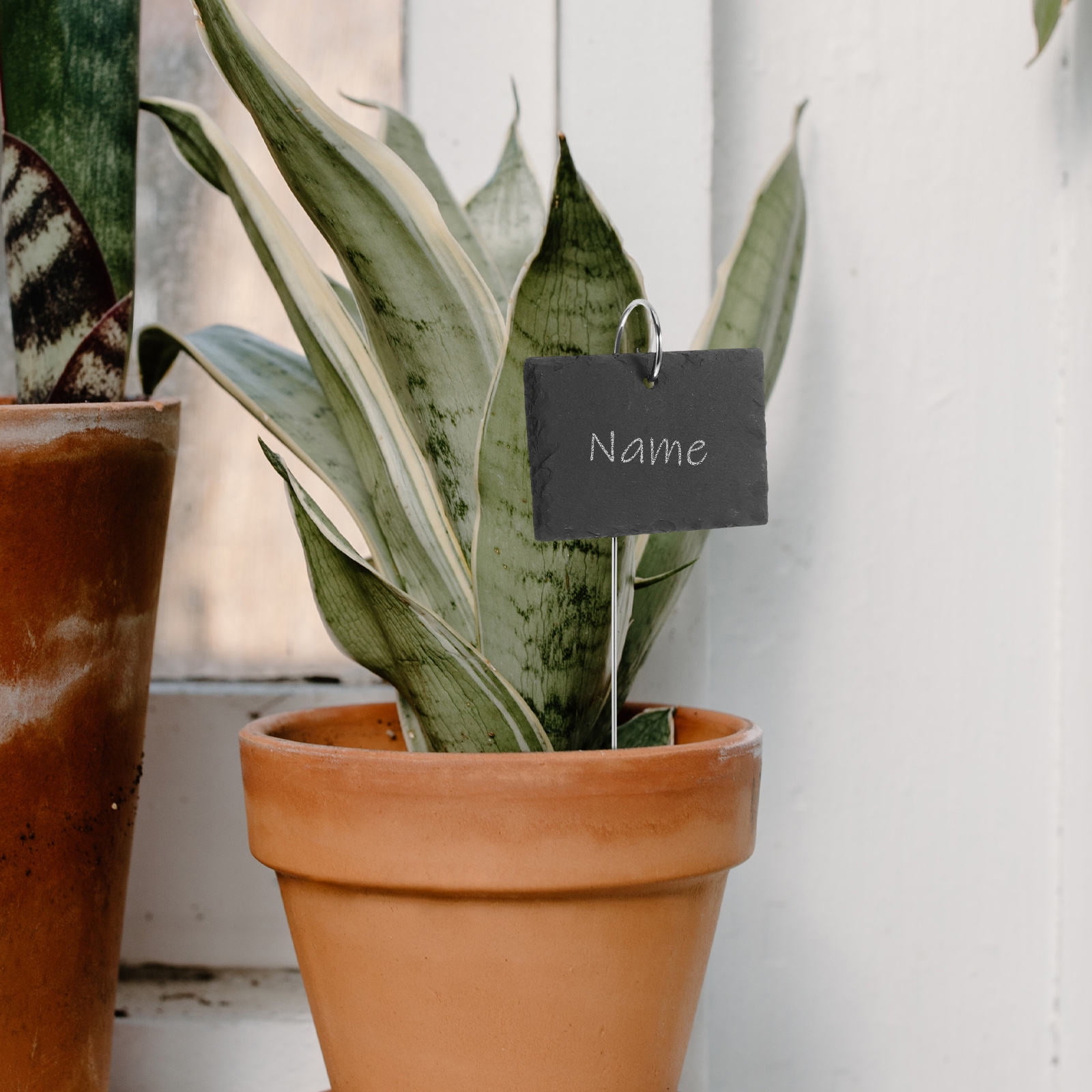 LEORX 5Pcs Pot Name Tag Stainless Steel Gardening Signs for Garden Decoration Indoor Flower Bed