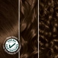 thumbnail image 4 of Garnier Nutrisse Nourishing Hair Color Creme, 33 Darkest Golden Brown, 4 of 11