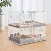 Clear Reptile Cage Enclosure Box Scorpion Tarantula Insect Clear Display Case 4-Grid for Living Room