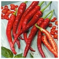 thumbnail image 2 of Everwilde Farms Long Red Thin Cayenne Hot Pepper Plant Seeds, 2 of 3