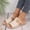 Beige, variant on Womens Casual Flat Slippers, Summer Comfortable Slip on Sandals for Women Breathable Hollow Out Non Slip Sandals for Summer Going Out Shoes