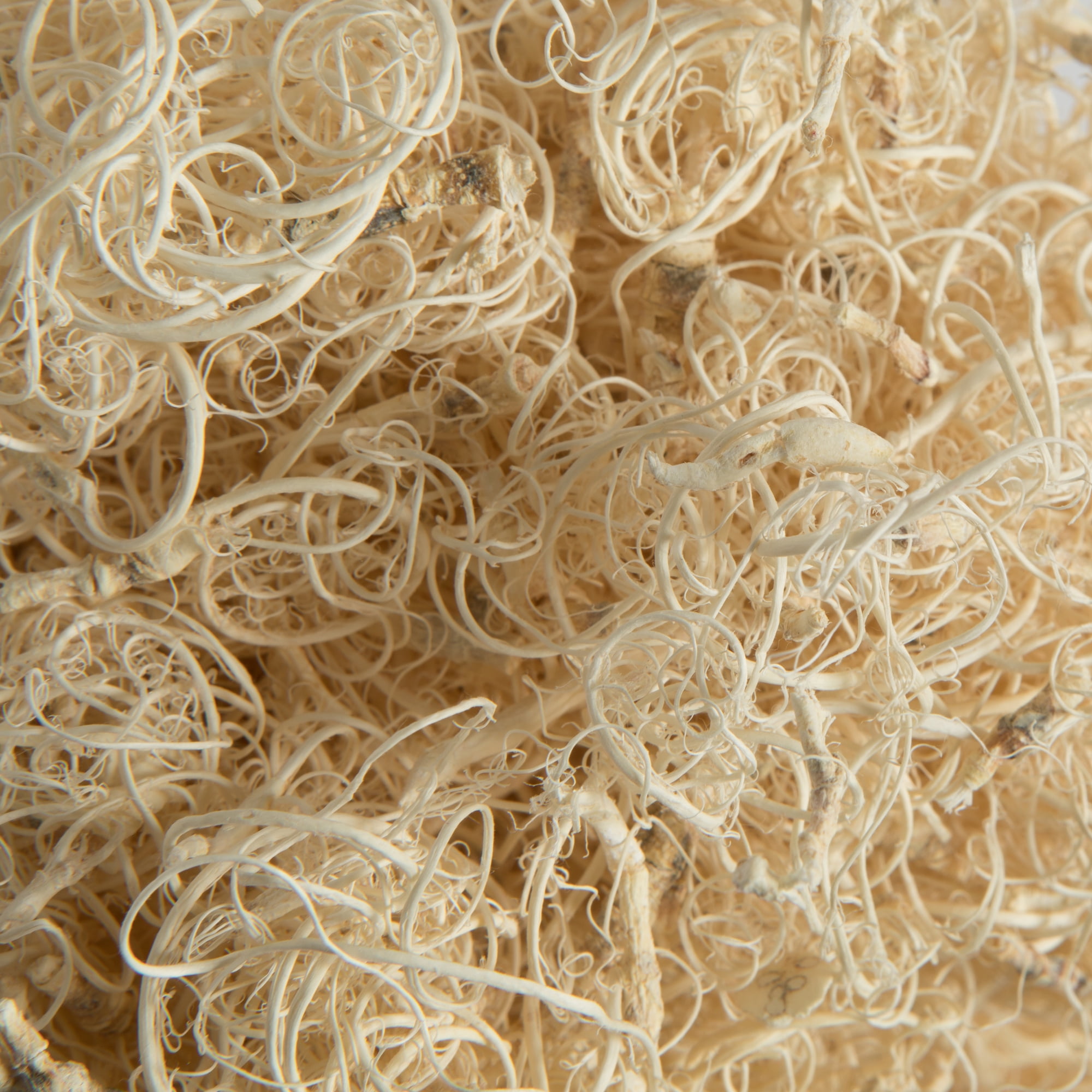 Vickerman Natural Botanicals Curly Moss, Bleached. Includes 2.2 Lbs per pack