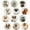 Dogs, variant on Wrapables Crystal Glass Magnets, Refrigerator Magnets for Office Whiteboards, Cabinets, Lockers (Set of 12), Planets