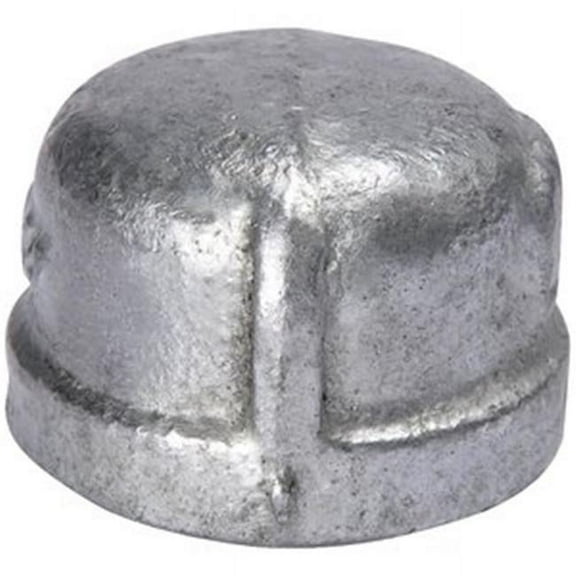 2 in. Galvanized Pipe Cap