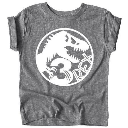 

Three T-Rex Fossil Dinosaur 3rd Birthday T-Shirts for Baby Girls and Boys Third Birthday Outfit Granite Heather Shirt 4T
