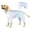Blue, variant on HQREA Cotton Dog Recovery Suit After Surgery Male Female Dog Spay Surgery Suit Onesie for Medium Large Breed