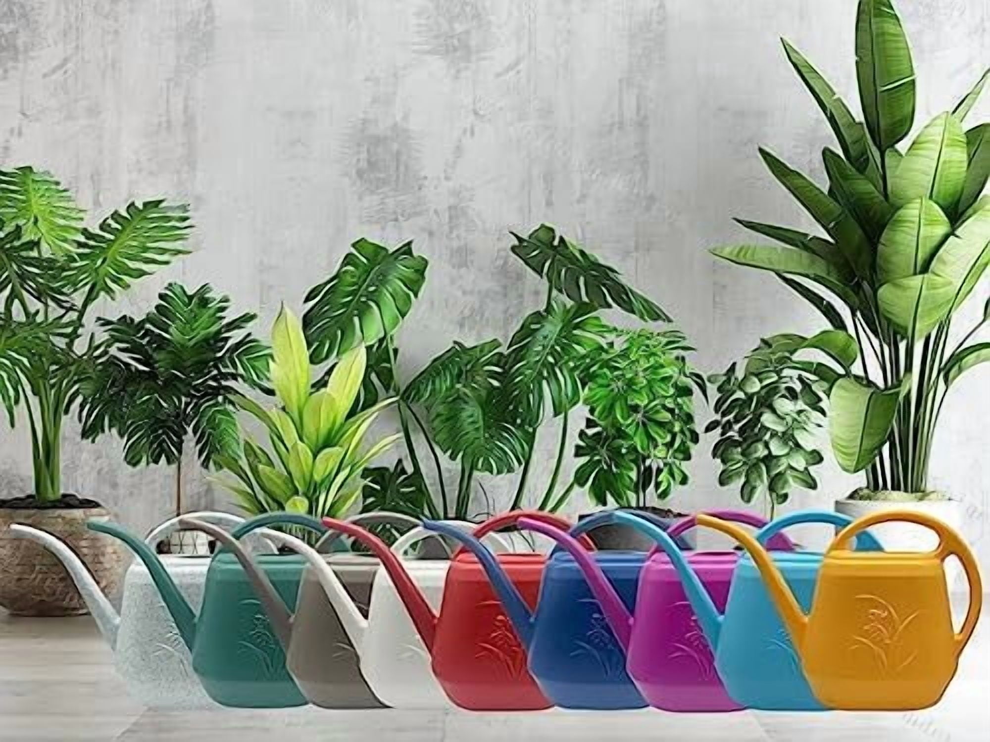Plant Watering Can - 1 Gallon - Coffee Color