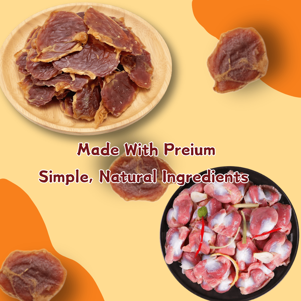 Tender Touch All-Natural Chicken Gizzard Dog Treats, Wholesome Single Ingredient and Grain-Free Chews for a Healthy Diet,14.11 Ounce