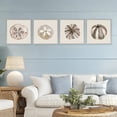 thumbnail image 2 of Stupell Industries Taupe & Beige Sea Creatures 4 Piece Gray Framed Giclee Art Set, design by Lanie Loreth, 2 of 8