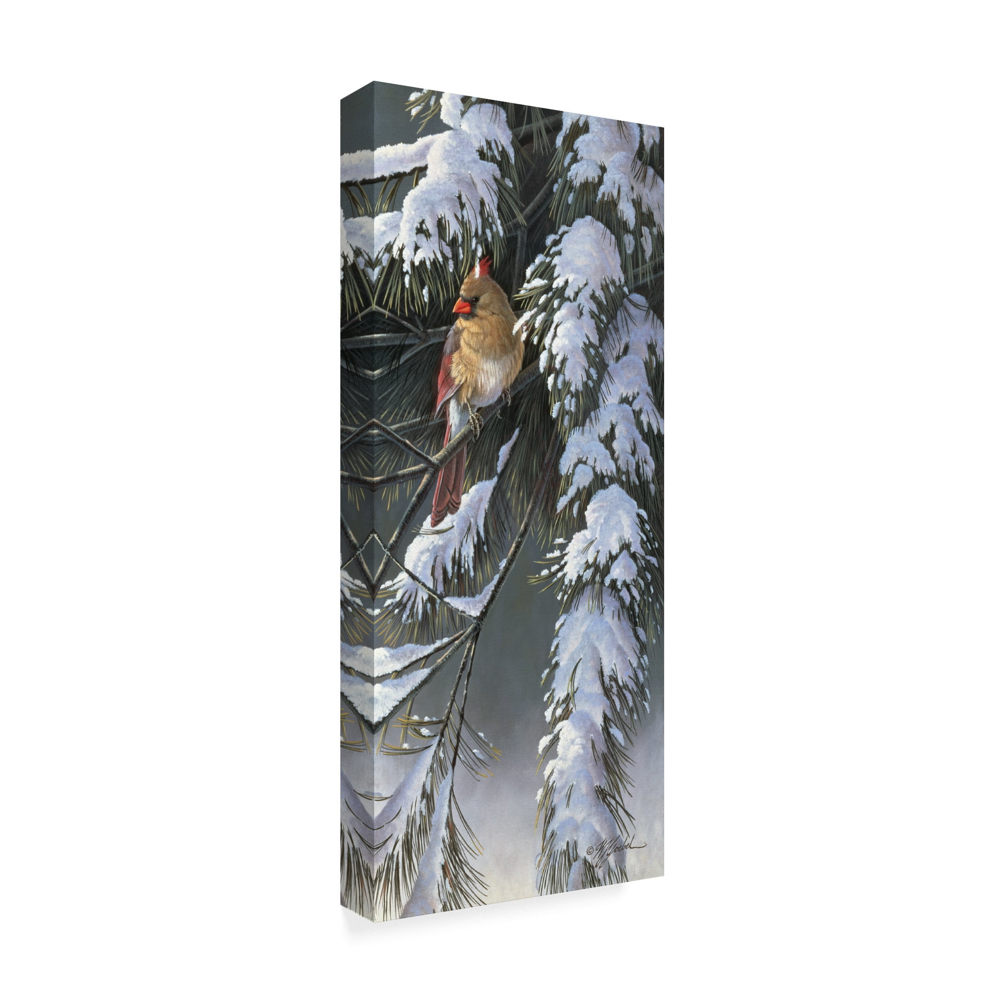 Trademark Fine Art 'Winter Light' Canvas Art by Wilhelm Goebel
