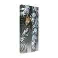 thumbnail image 2 of Trademark Fine Art 'Winter Light' Canvas Art by Wilhelm Goebel, 2 of 3