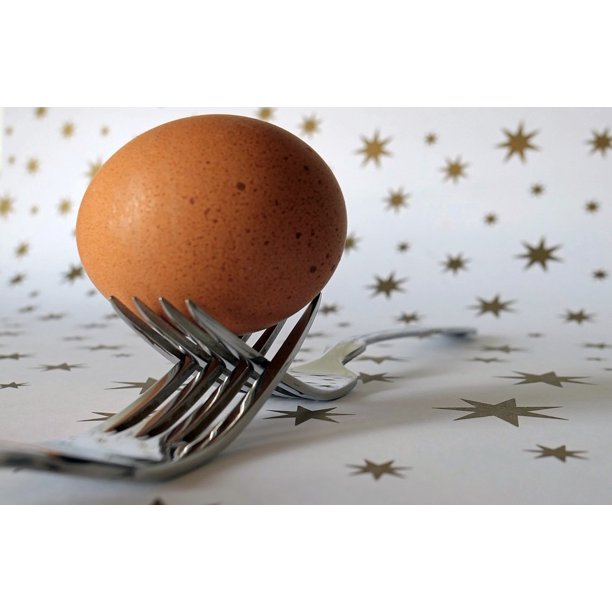 Fork Food Origin Of Life Egg Cutlery Nutrition Inch By 30 Inch Laminated Poster With Bright Colors And Vivid Imagery Fits Perfectly In Many Attractive Frames Walmart Com Walmart Com