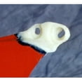 thumbnail image 4 of Polyvance 2502 Professional PlastiFix Plastic Repair Kit - for ABS, PVC, & More, 4 of 5