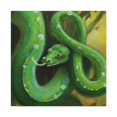 thumbnail image 3 of Green Tree Python Beauty - Canvas, 3 of 25