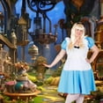thumbnail image 5 of Orion Costumes Traditional Alice Adult Costume Xxx-large Female, 5 of 7