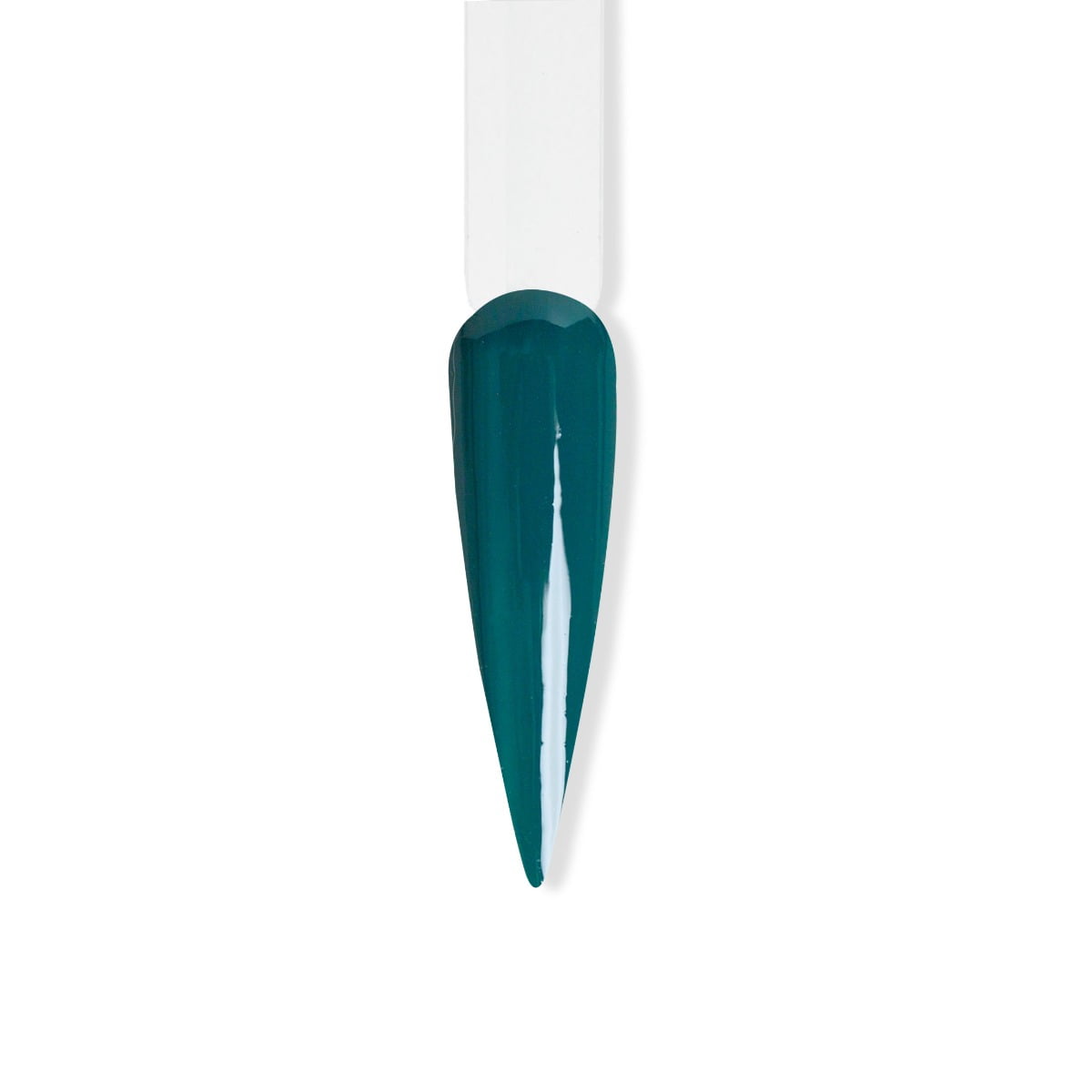 Bangbang - Cactus Acrylic Powder Kit