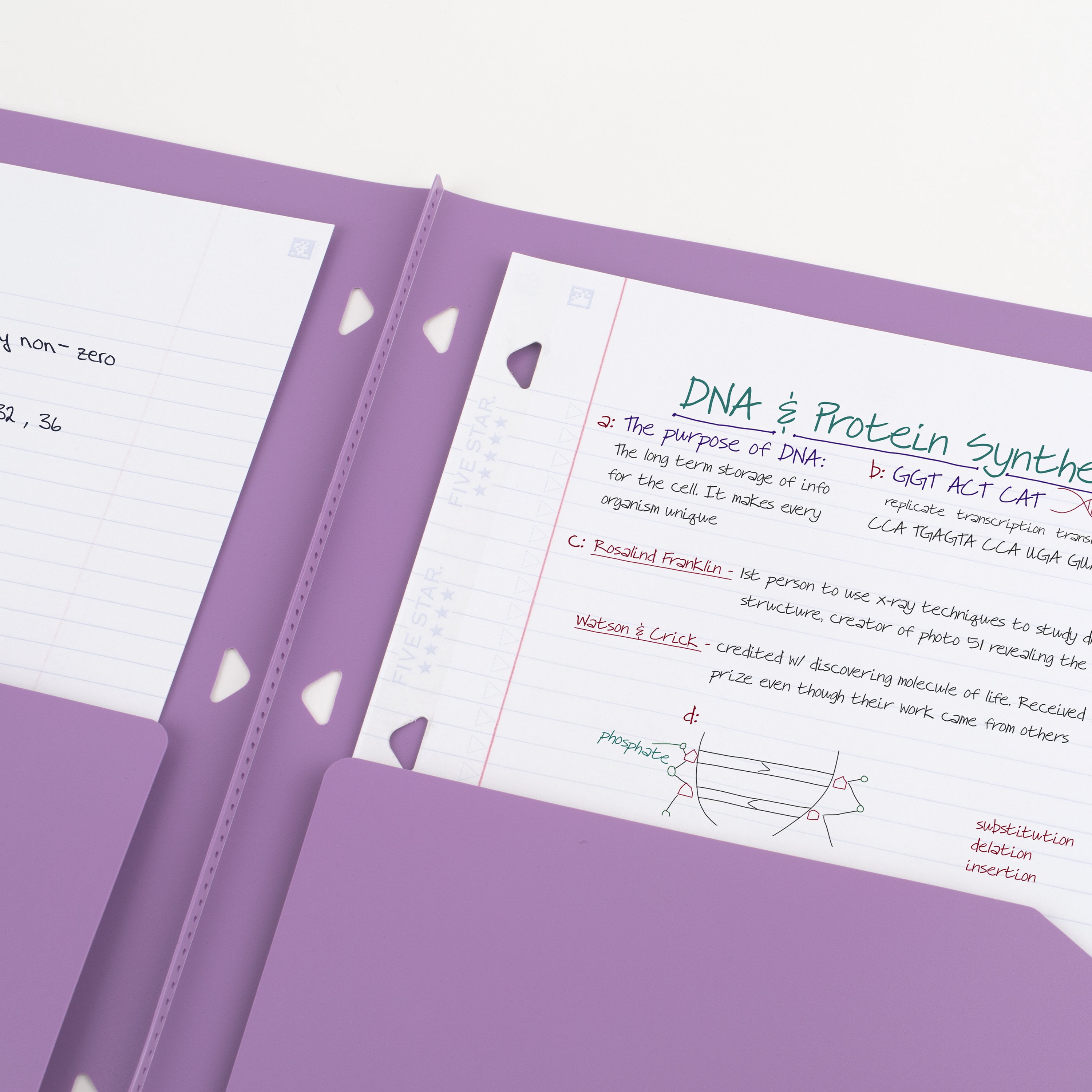Five Star Clearview 2 Pocket Portfolio Purple