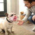 thumbnail image 7 of Rdausd Funny Dog Muzzle Costume Mask, Novelty Creepy Dog Face Mask for Small Medium Large Dogs, Hilarious Pet Costume Accessory for Parties Halloween Photos Pranks, 7 of 7