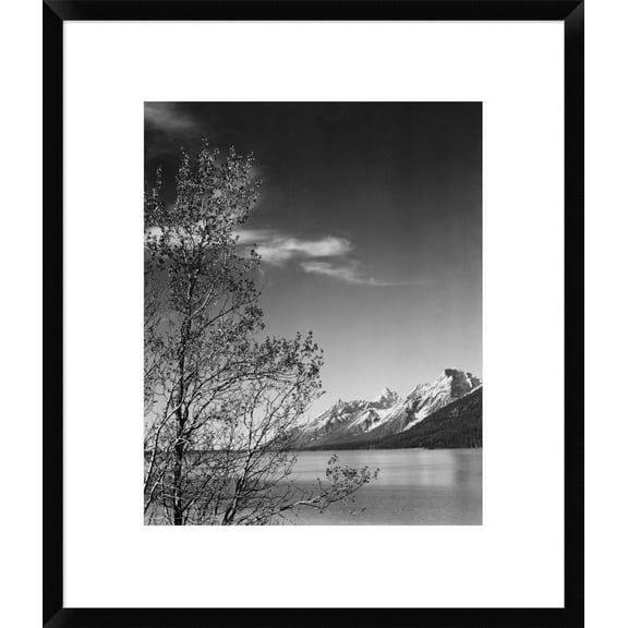 Global Gallery Ansel Adams 'View of mountains with tree in foreground, Grand Teton National Park, Wyoming, 1941' Framed Wall Art