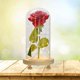 thumbnail image 3 of Flores de rosas, luces cúpula de cristal sobre Base de , modo de lámpara cálida, rojos, multifunzionale para decoraciones para /La BLESIY Cúpula de flores de rosa eterna, 3 of 6