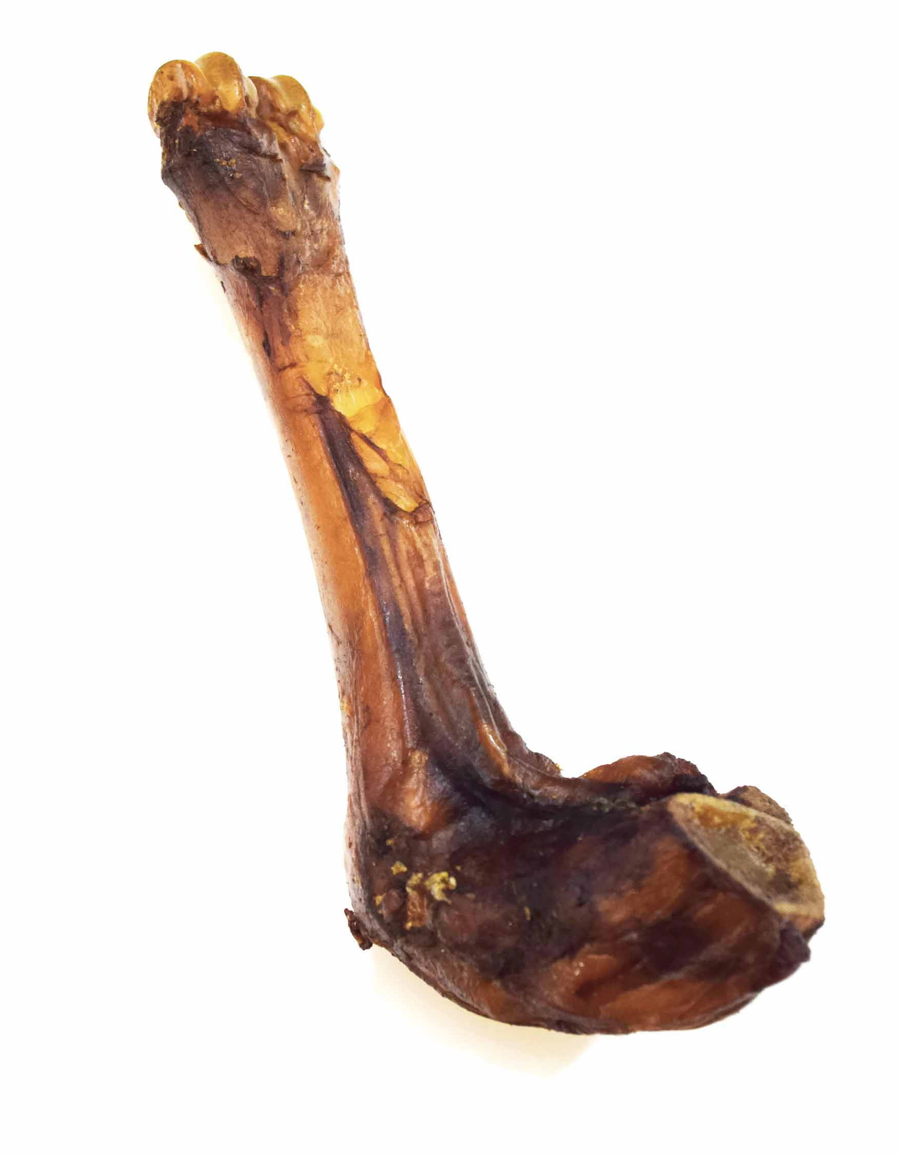 Are dogs allowed lamb shank cheap bones