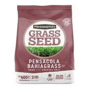 Pennington Pensacola Bahiagrass Grass Seed, for Full Sun, 3 lb.