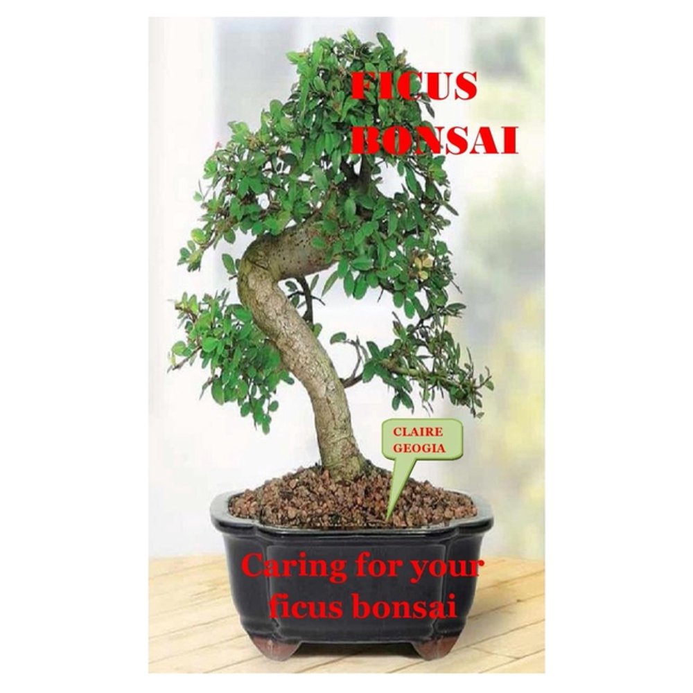 Ficus Bonsai Caring For Your Ficus Bonsai (Paperback)